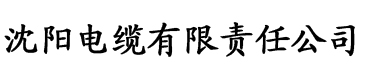 老司机小说软件官网电缆厂logo